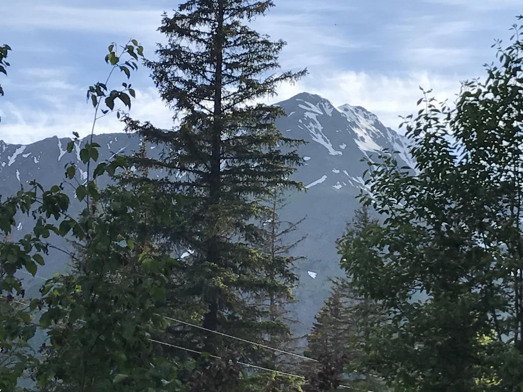 Resurrection River Rentals Seward Exterior foto